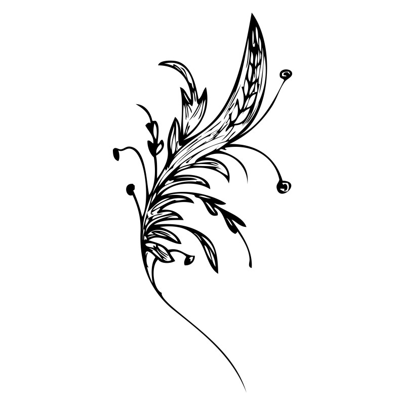 Hand Drawn Floral Design Image