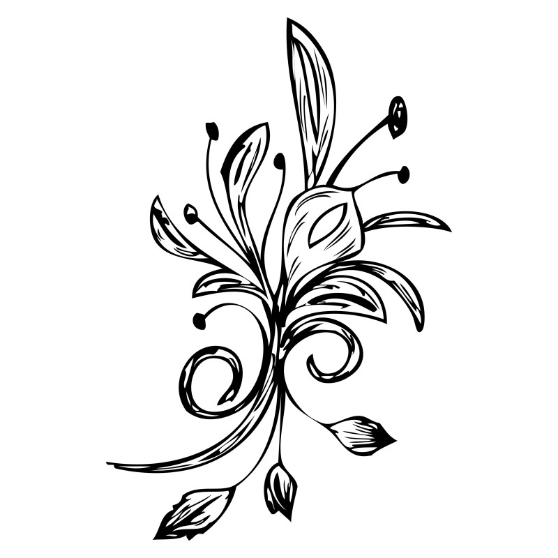 Hand Drawn Floral Image