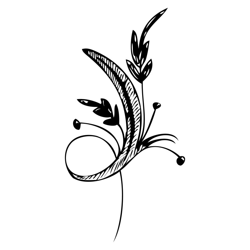 Hand Drawn Floral Design Vector