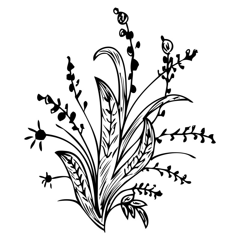 Hand Drawn Floral Vector