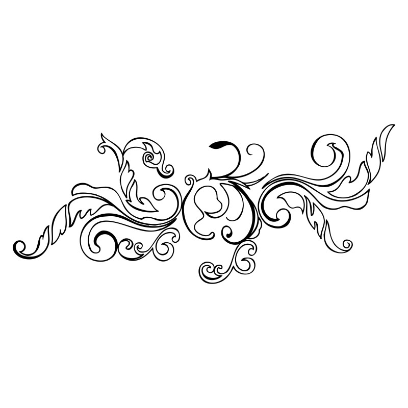 Hand Drawn Floral Design Vector Image