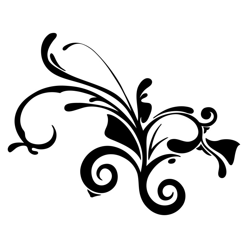 Hand Drawn Floral Design Vector Image