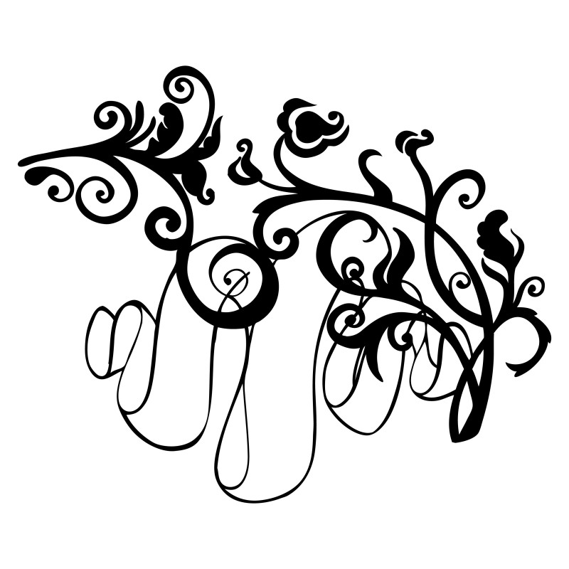 Hand Drawn Floral Design Image