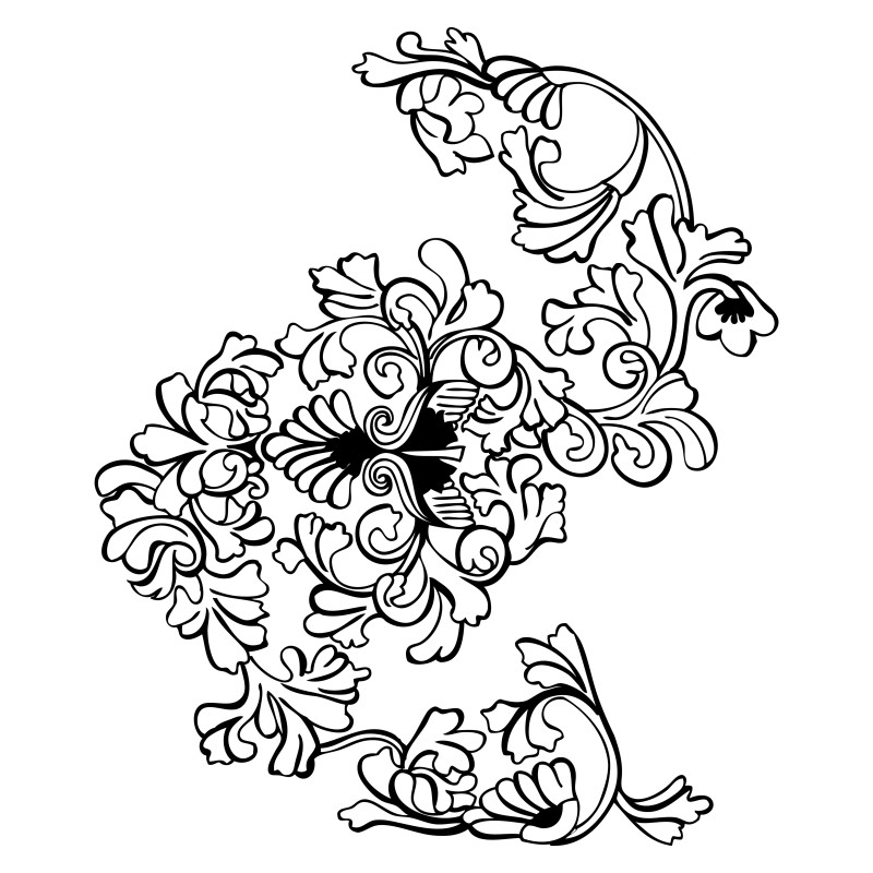 Hand Drawn Floral Design Vector Image