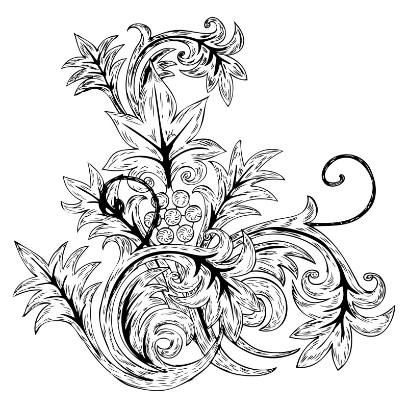 Hand Drawn Floral Design Image