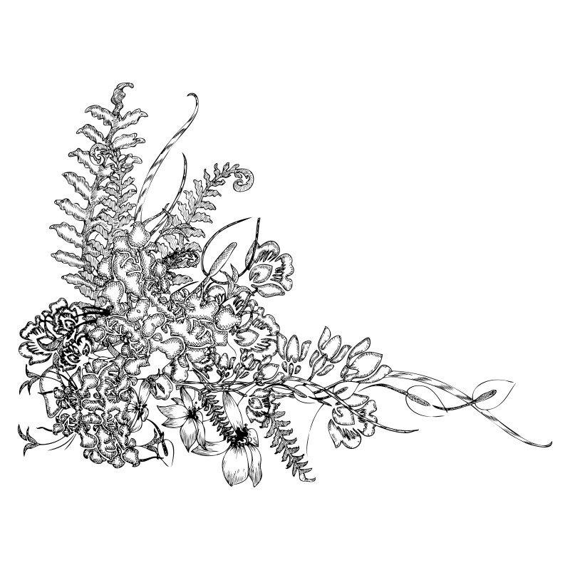 Hand Drawn Floral Design Vector Image
