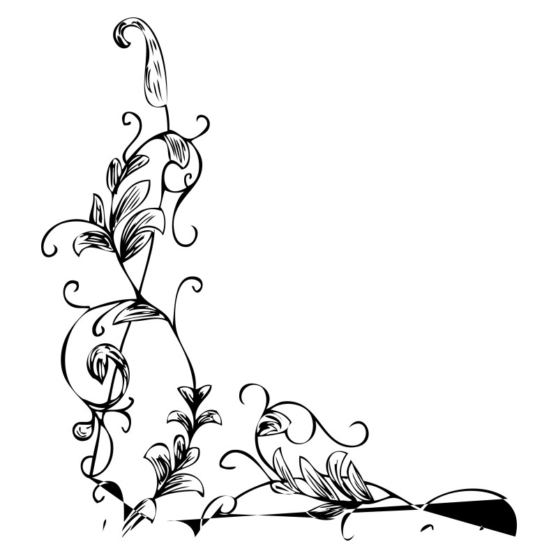 Hand Drawn Floral Vector Image