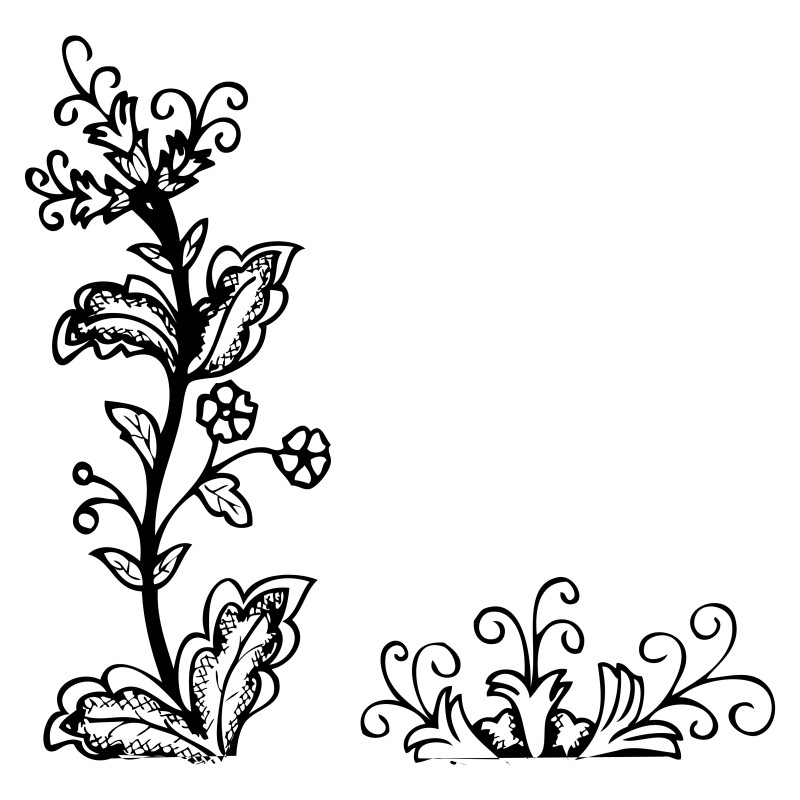 Hand Drawn Floral Design Image