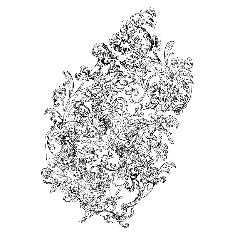 Hand Drawn Floral Design Vector Image
