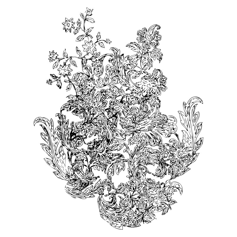 Hand Drawn Floral Image
