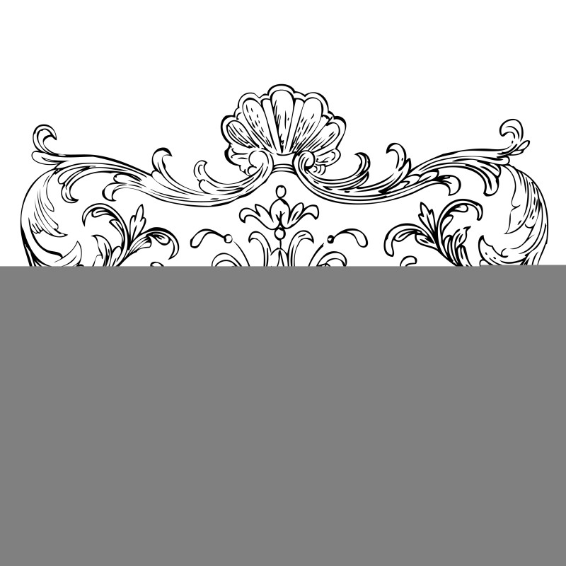 Hand Drawn Floral Ornament Image