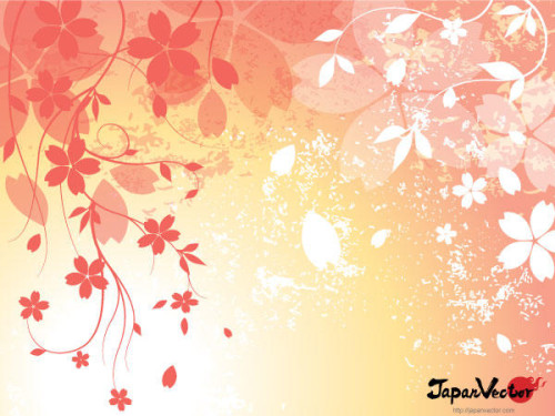 Sakura: Japanese Cherry Blossom Background Vector