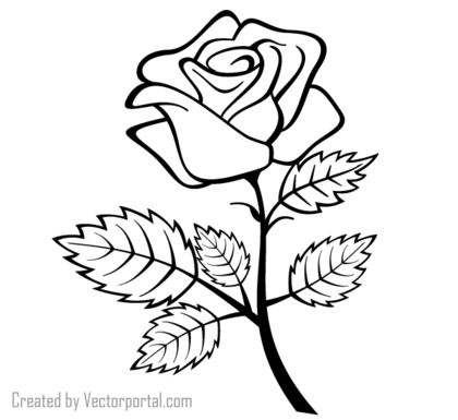Vector Rose Outline Image