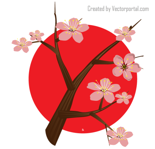 Japanese Cherry Blossom Vector