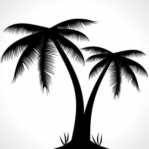 Palm Tree Silhouette Vector Illustration