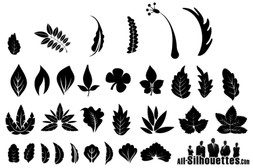 Free Graphics: Vector Leaf Silhouette