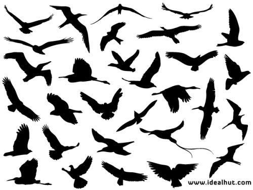 Free Flying Bird Silhouettes Vector