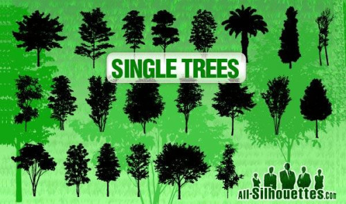 Vector Trees