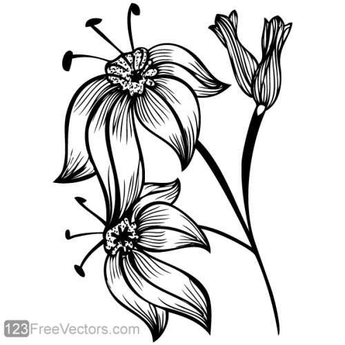 Flourish Design Image