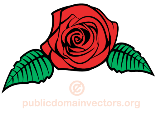 Vector Rose Flower Image