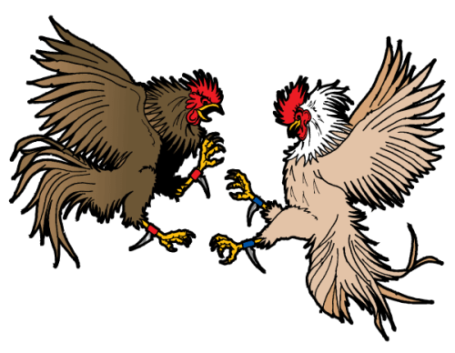 Cockfighting Vector Clip Art Image