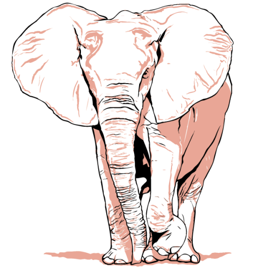 Free Elephant Vector Image