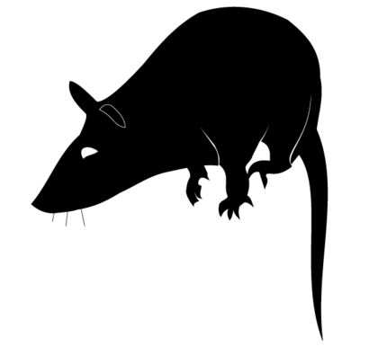 Rat Silhouette Vector Free