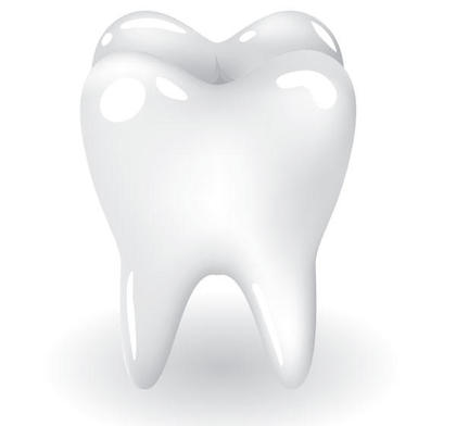 Free Tooth Vector Illustration
