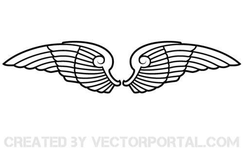 Vector Wings Image