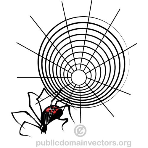 Spider Web Vector