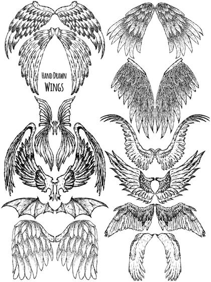 Wing Sketches Vector Illustration