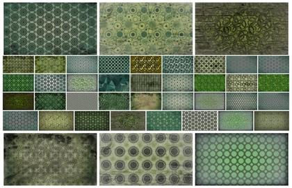 Explore the Dark Green Circle Background Collection