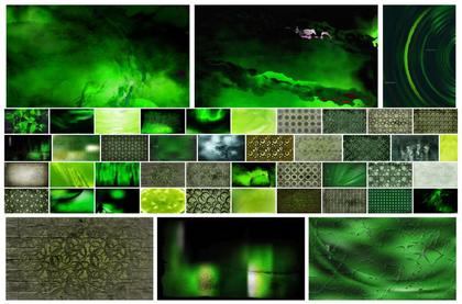 A Creative Collection of Green Grunge Background Designs
