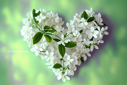 Jasmine Flowers Valentines Heart Love Background