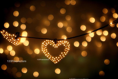 Valentines Heart Fairy Lights
