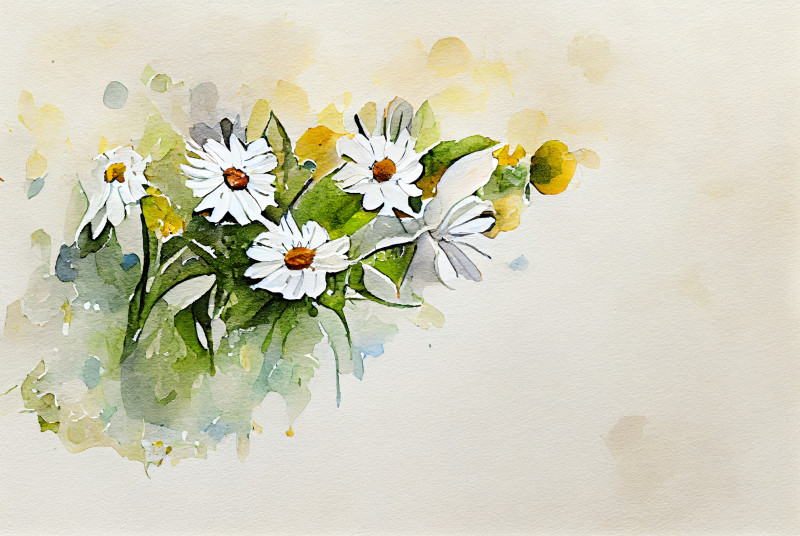 Watercolor Daisy Flower on Beige Background