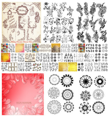 The Artistry of Decorative Vector Ornaments: An Extensive Collection