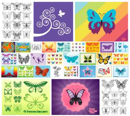 Exquisite Collection of Butterfly Vector Art