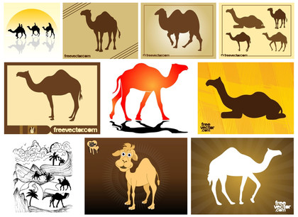 Exploring Camel Vectors: A Collection of 10 Unique Designs