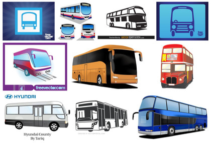 Immaculate Collection of Diverse Bus Vector Art