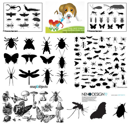The Artistry of Insect Vector Designs