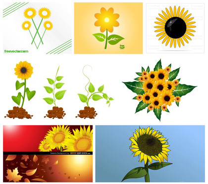 7 Free Sunflower Vector Designs: Blooms of Sunshine for Your Projects