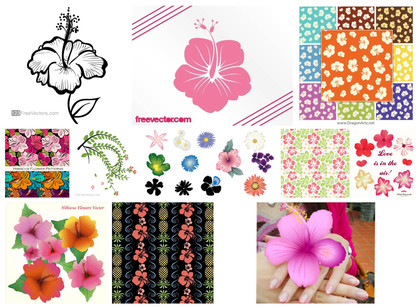 11 Free Hibiscus Flower Vector Designs: Embrace Tropical Elegance