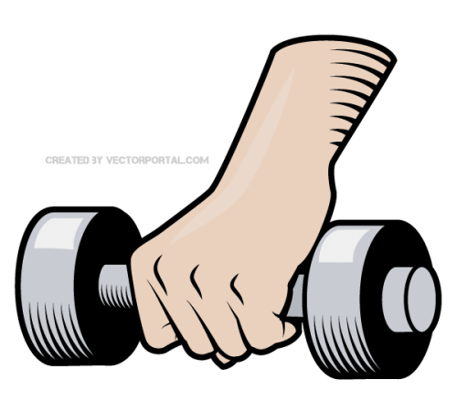 Hand Holding a Weight Vector Image