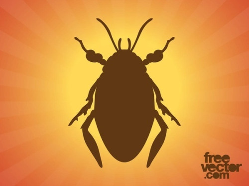 Beetle Silhouette Free Vector