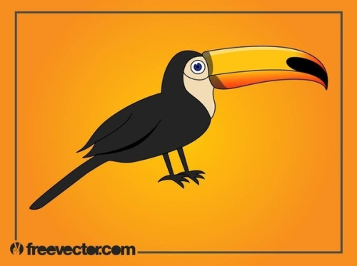 Cartoon Toucan Free Vector