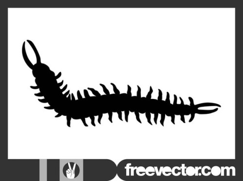 Centipede Silhouette Free Vector