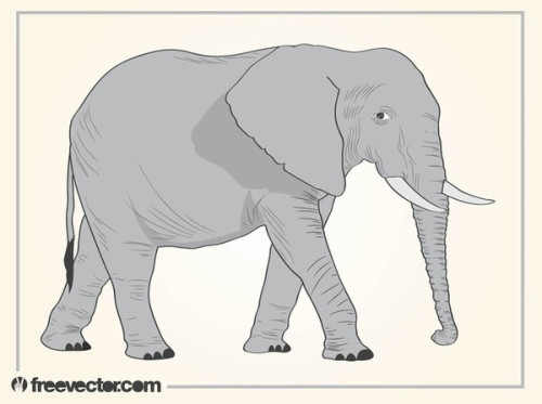 Elephant Free Vector