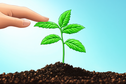 Nurturing Growth: Hand Protecting a Young Plant
