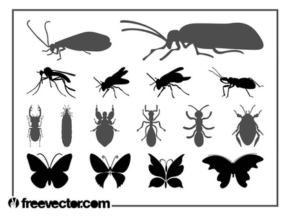 Insects Set Free Vector